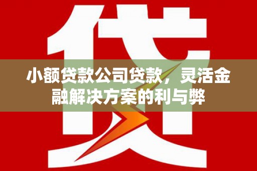 崇安小额贷款公司贷款，灵活金融解决方案的利与弊