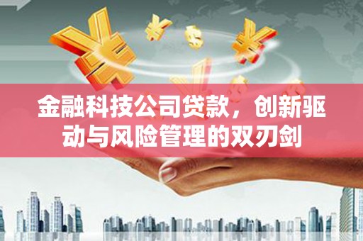 崇安金融科技公司贷款，创新驱动与风险管理的双刃剑